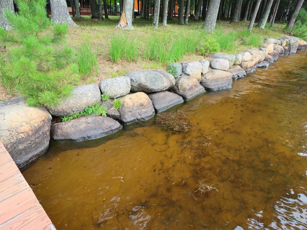 7424 Halverson Road Three Lakes, WI 54562 - Photo 5 of 20 Gallery Image 5