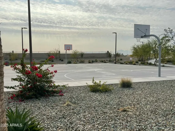 a view of a lake with a city