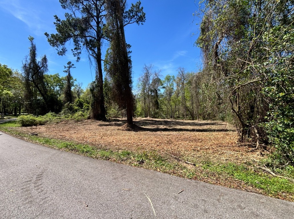 a view of backyard space
