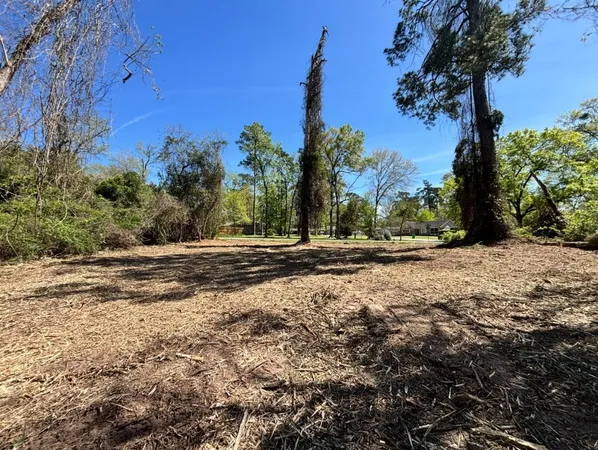 a view of dirt yard with a large tree