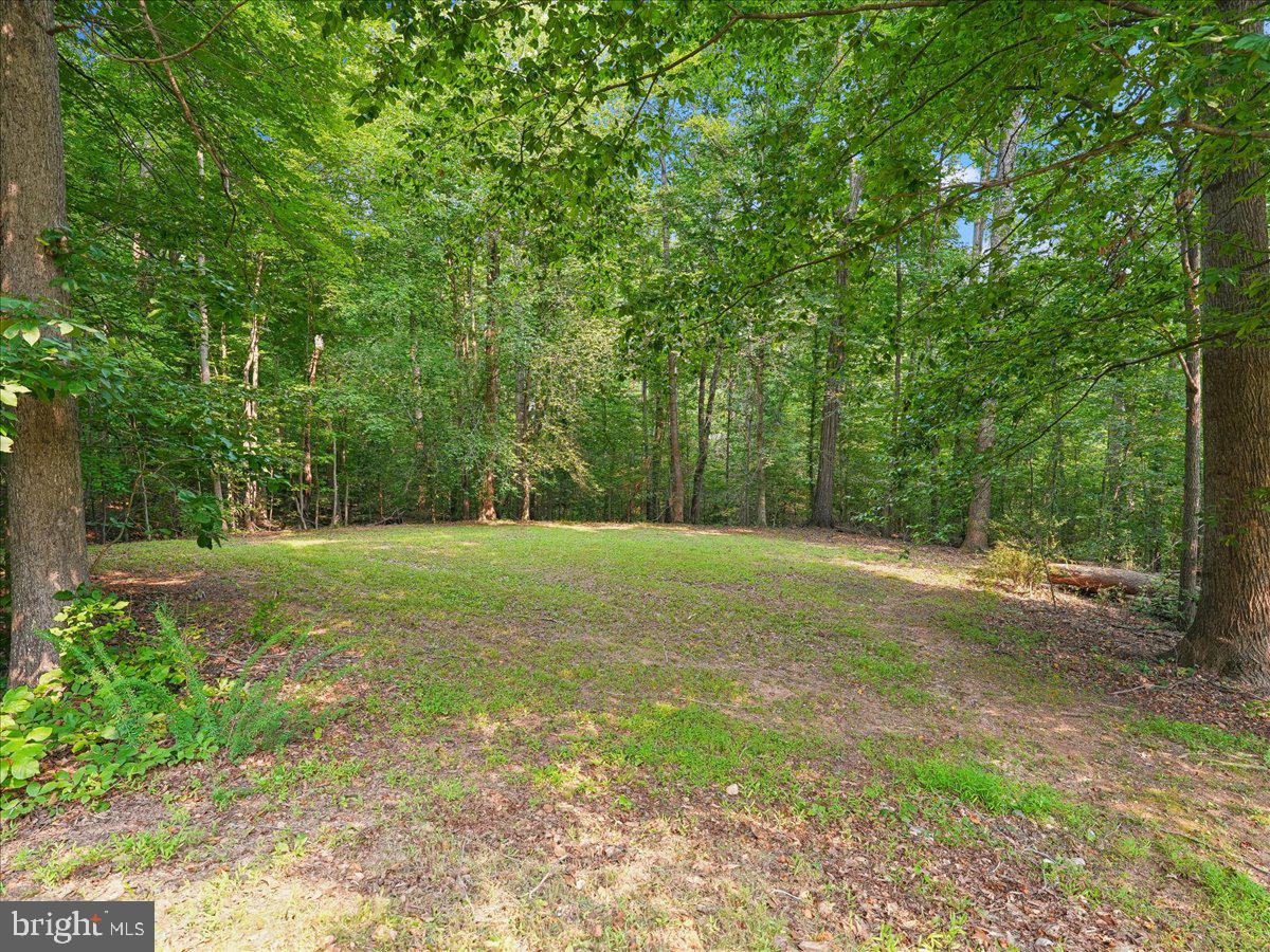 8253 Honeysuckle Road Manassas, VA 20112 - Photo 9 of 15 Serene woodland clearing awaits you.