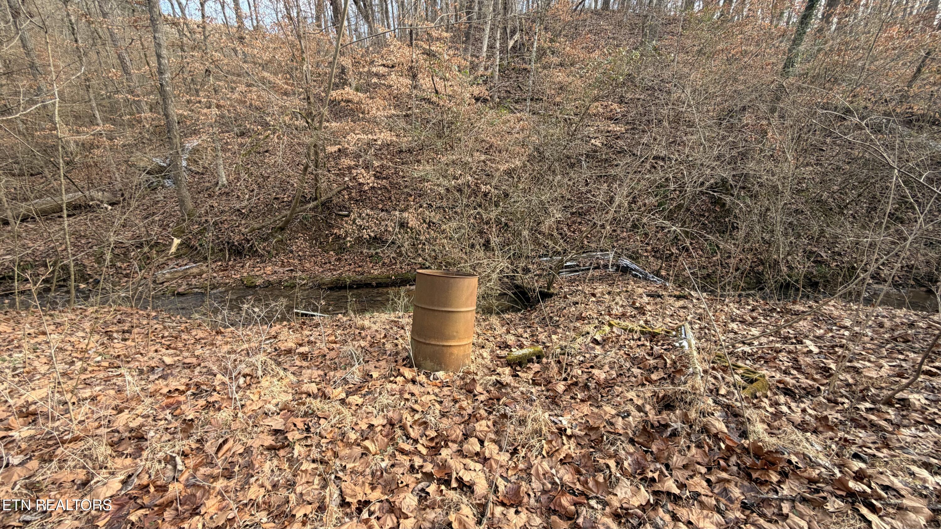 1747 East Old Topside Road Louisville, TN 37777 - Photo 20 of 22 FullSizeRender