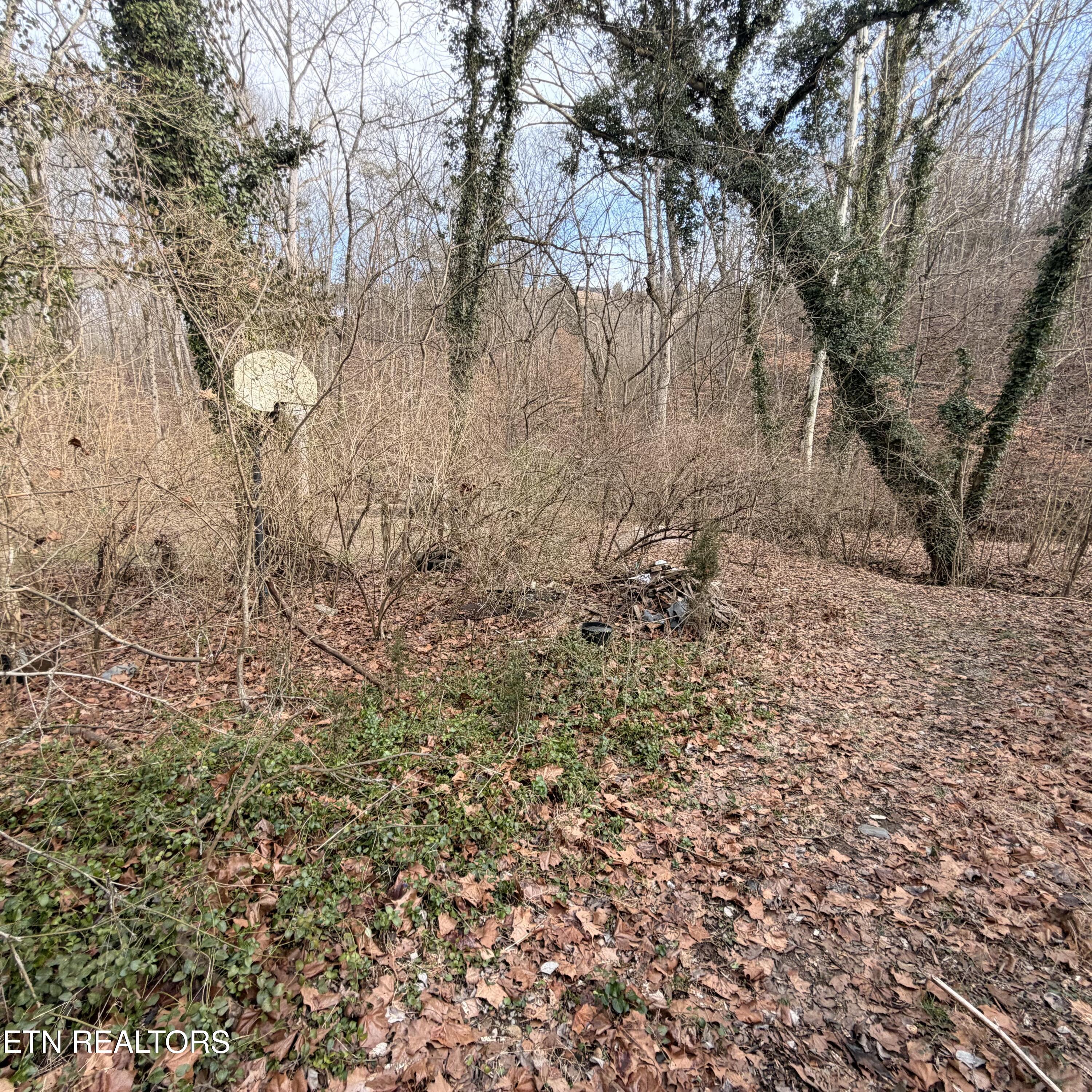 1747 East Old Topside Road Louisville, TN 37777 - Photo 22 of 22 FullSizeRender