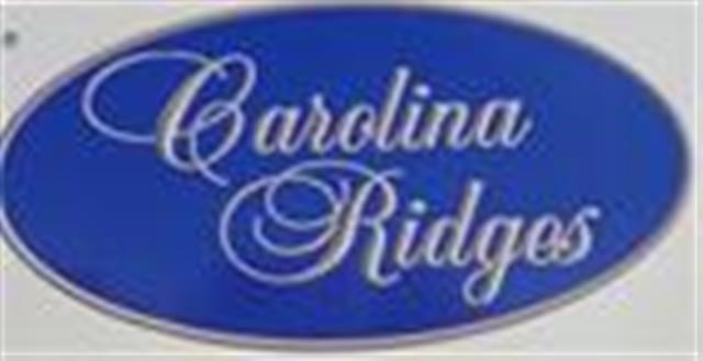 425 Rebel Ridge Road Lyman, SC 29365 - Photo 12 of 13 Gallery Image 12