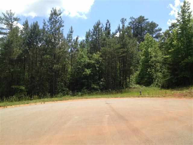 425 Rebel Ridge Road Lyman, SC 29365 - Photo 2 of 13 Gallery Image 2