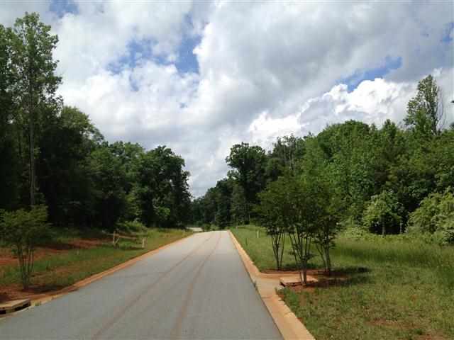 425 Rebel Ridge Road Lyman, SC 29365 - Photo 3 of 13 Gallery Image 3