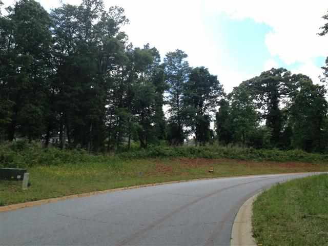 425 Rebel Ridge Road Lyman, SC 29365 - Photo 8 of 13 Gallery Image 8