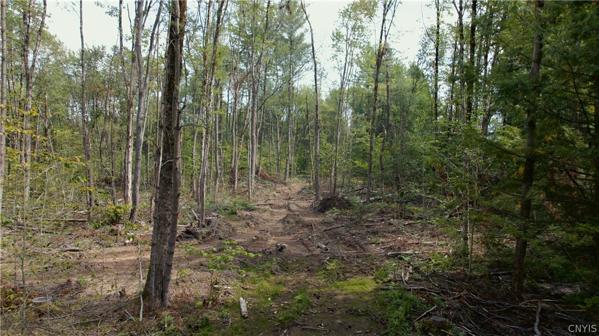 10133 Penfield Road Camden, NY 13316 - Photo 9 of 10 Gallery Image 9