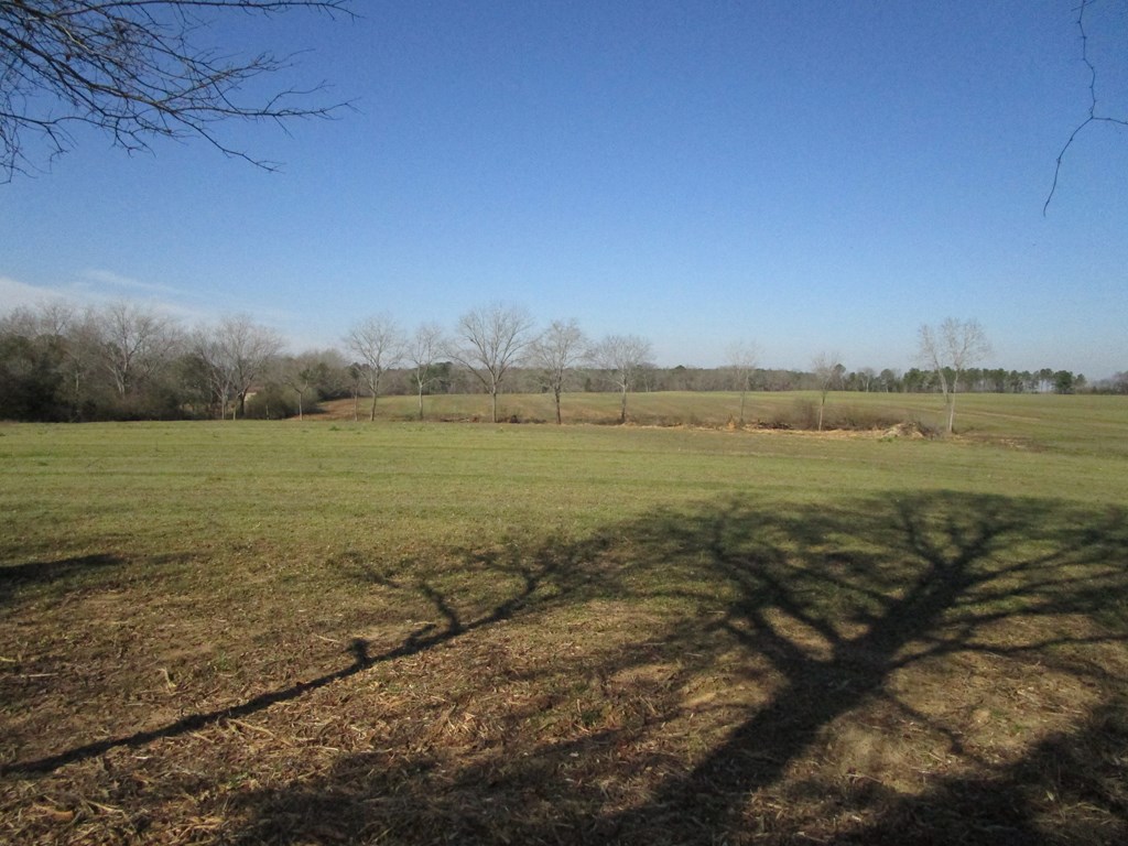 1 Culver Road Newville, AL 36353 - Photo 2 of 3