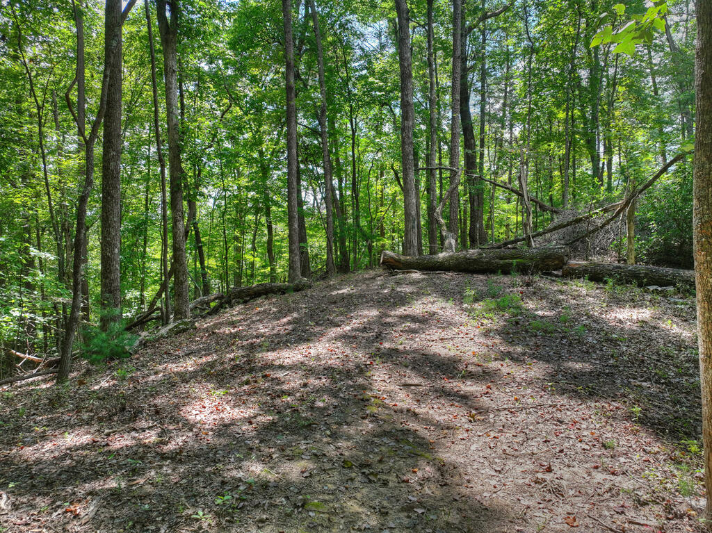 606 Cohutta Mountain Road Blue Ridge, GA 30513 - Photo 39 of 62 Gallery Image 39