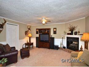 1235 Lower Flat Creek Road Alexander, NC 28701 - Photo 3 of 14 Gallery Image 3