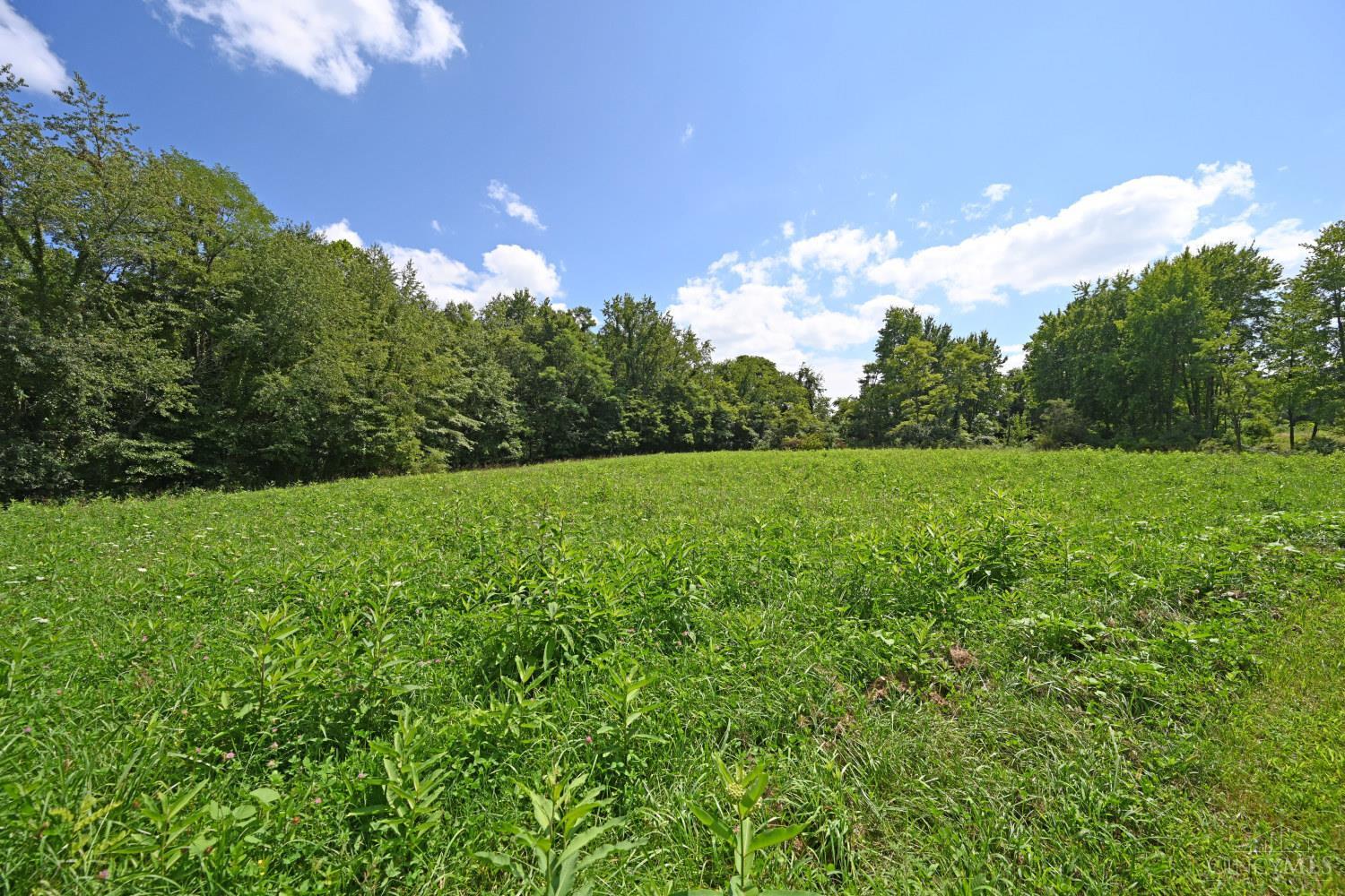 3097 Goodwin Schoolhouse Point Isabel Road Bethel, OH 45106 - Photo 50 of 60