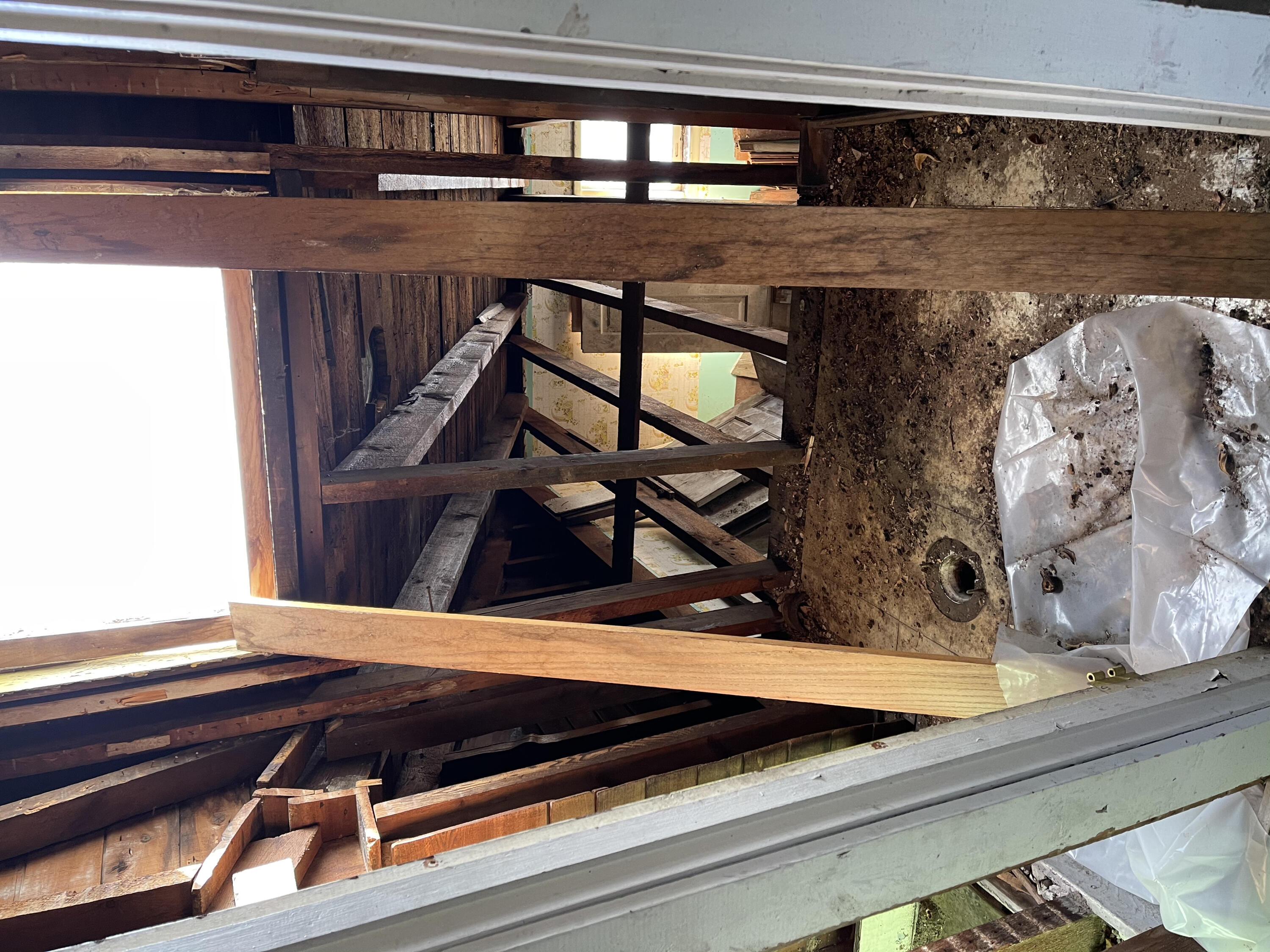 717 West Liberty Street Ann Arbor, MI 48103 - Photo 7 of 18 IMG_3743