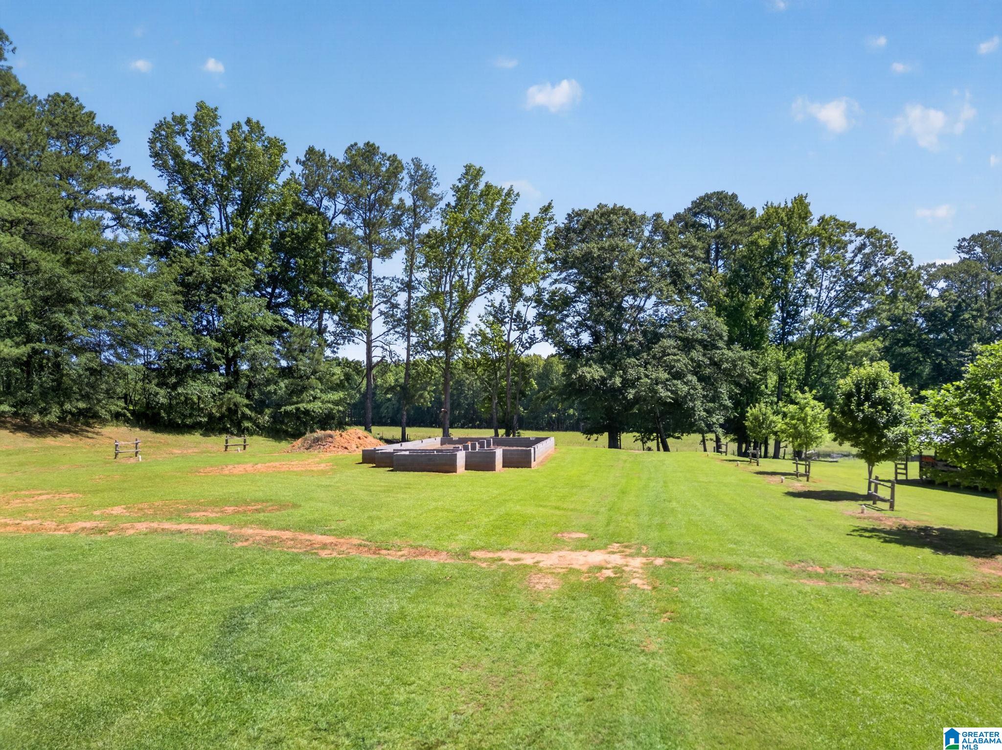 3463 County Road 3 Delta, AL 36258 - Photo 5 of 100