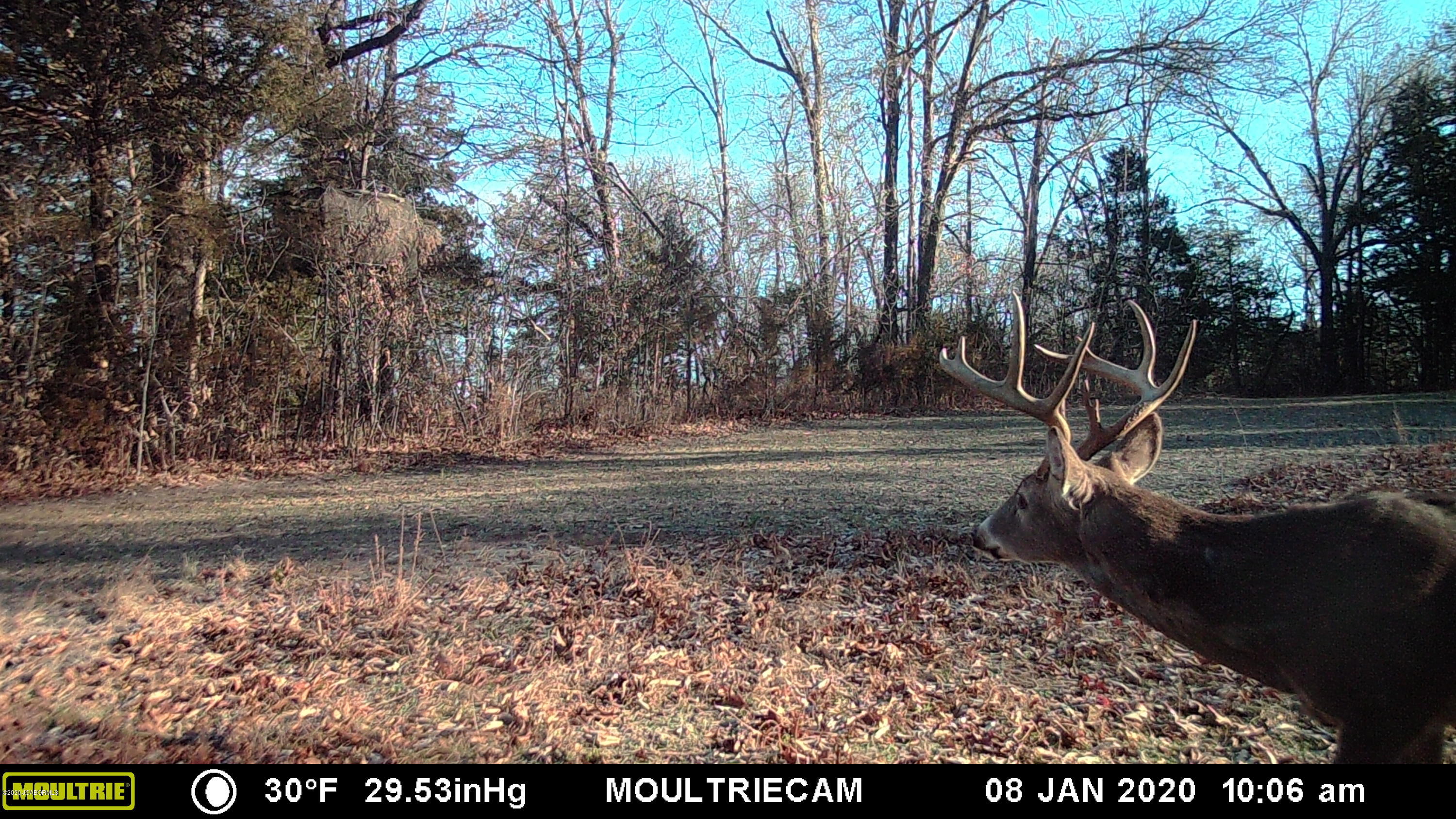 Tbd Paris Farm Road New Bloomfield, MO 65063 - Photo 6 of 9