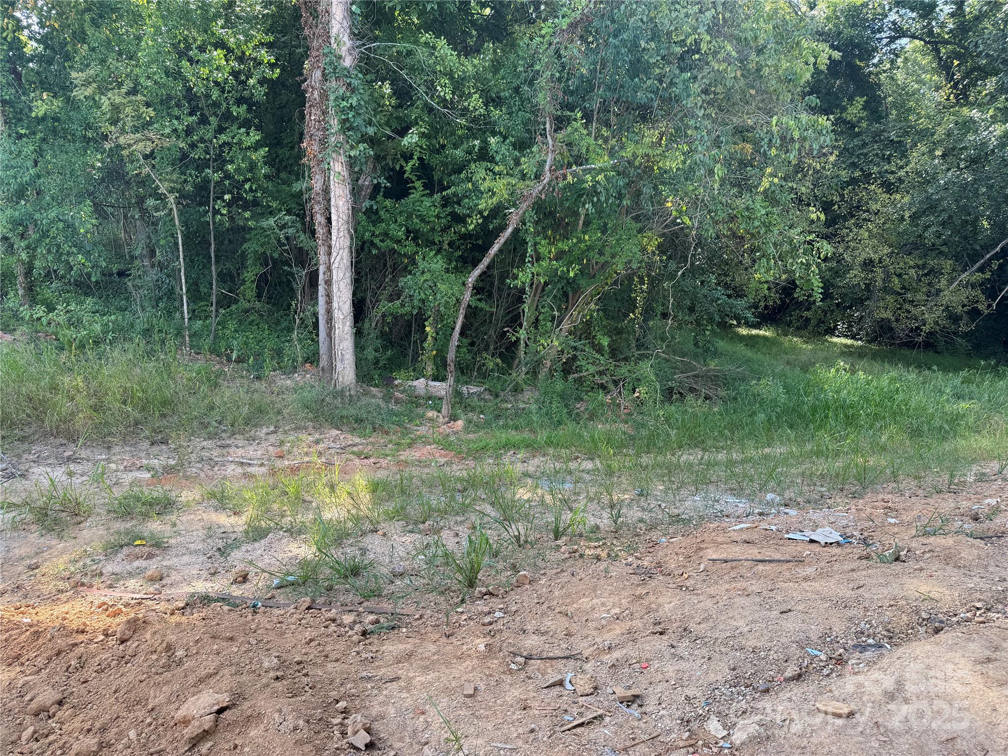 314 South French Street Lancaster, SC 29720 - Photo 28 of 39 a view of a forest with trees in the background