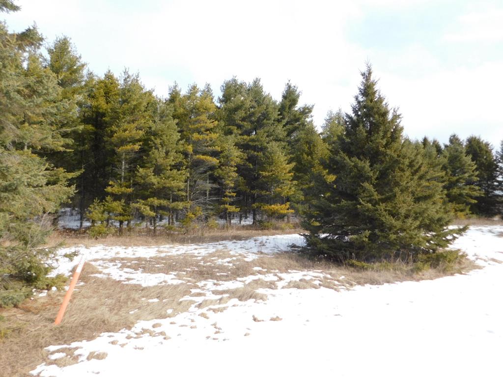 0 East Whitefish Bay Road Sturgeon Bay, WI 54235 - Photo 1 of 1