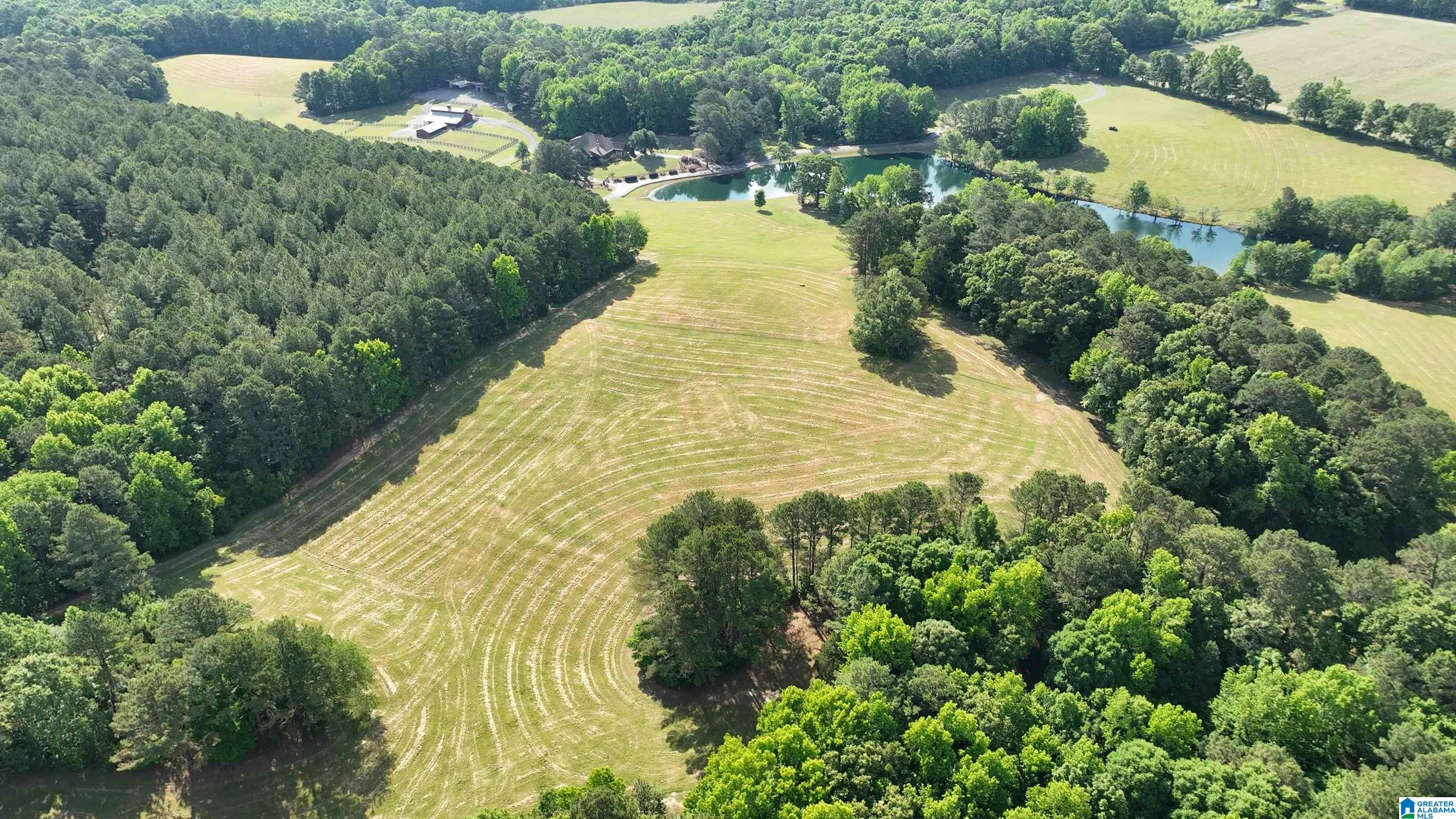 5145 Pine Mountain Road Remlap, AL 35133 - Photo 93 of 100