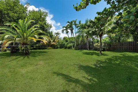a view of a park with large trees