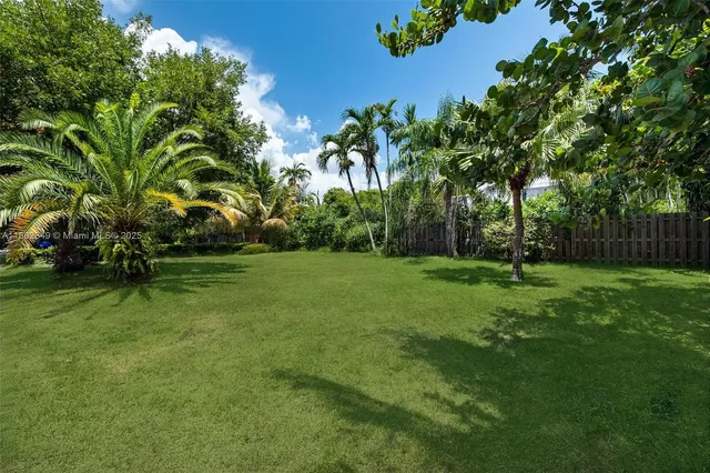 a view of a park with large trees