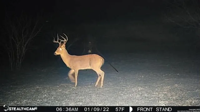 $797,000 | 1185 County Road 7718, Devine, TX 78016