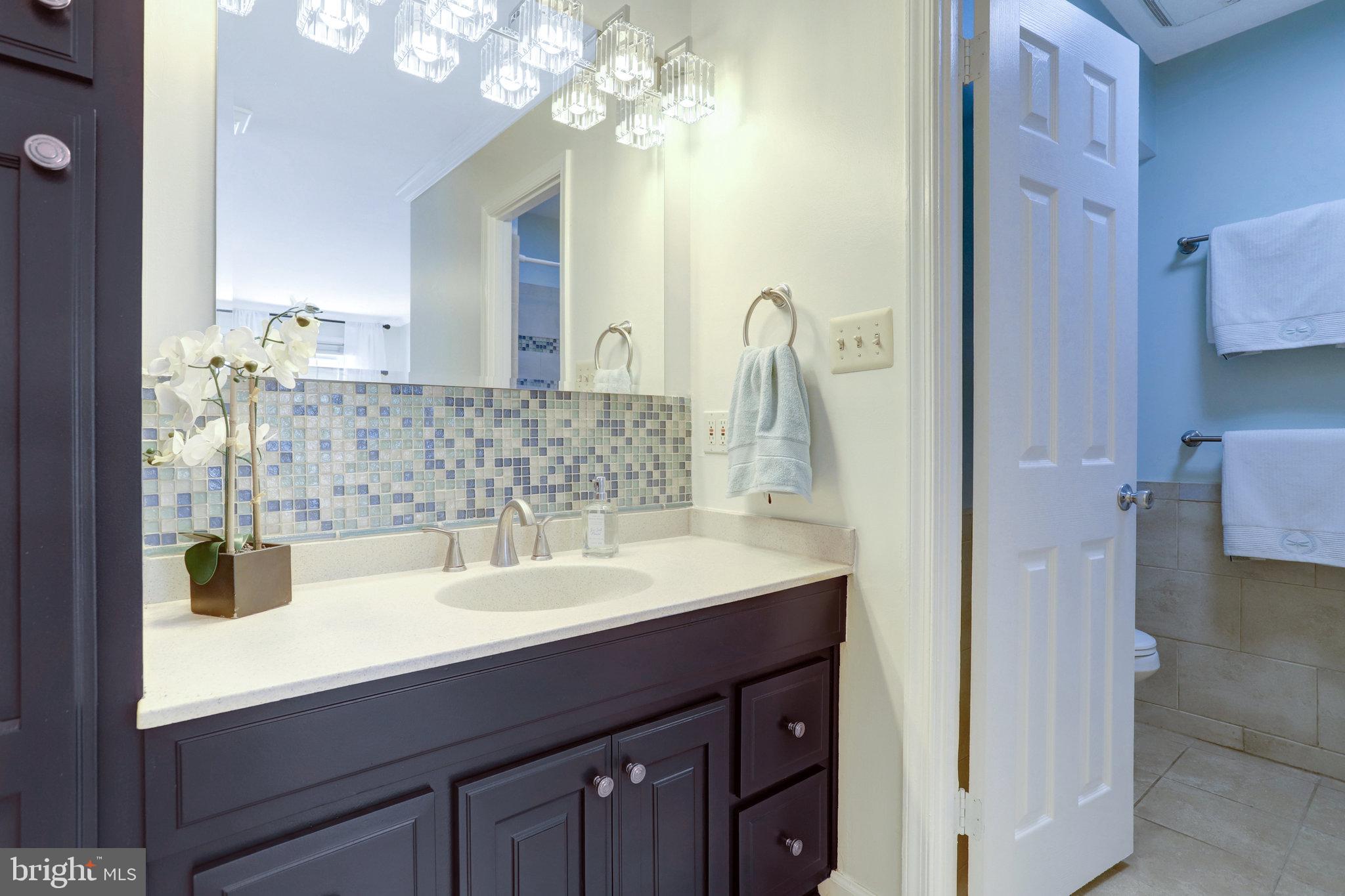 7206 Joshua Tree Lane Springfield, VA 22152 - Photo 25 of 50 Freshly Renovated Primary Bathroom