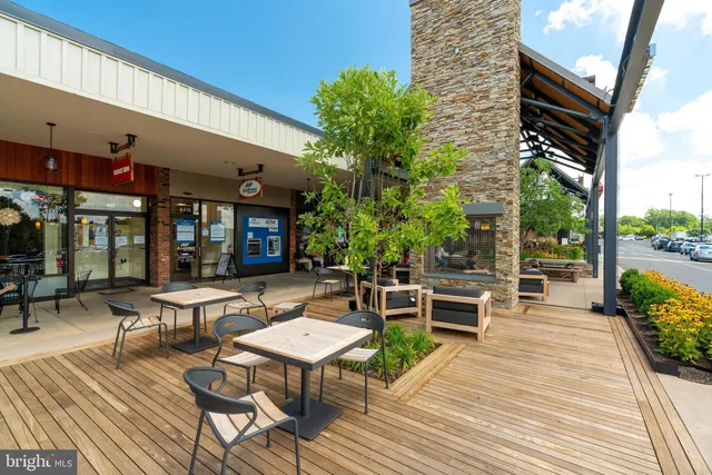 a view of a flower in a garden