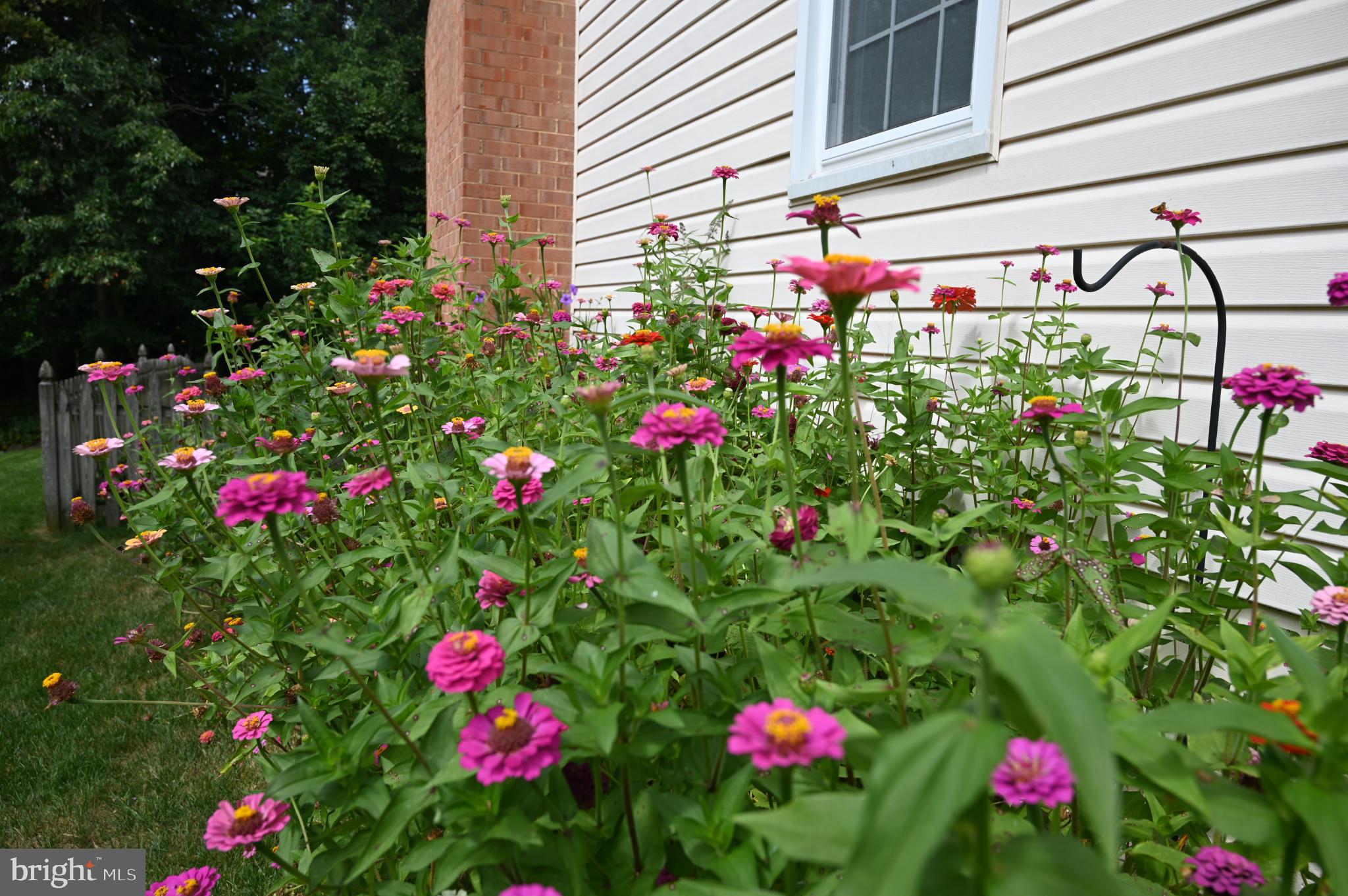 7206 Joshua Tree Lane Springfield, VA 22152 - Photo 50 of 50 Vibrant blooms brighten a charming garden.