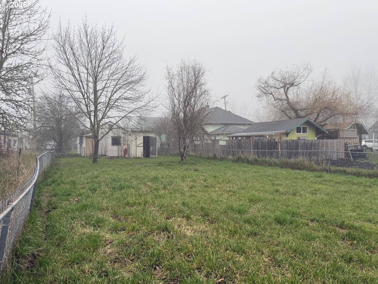 660 East 32nd Avenue Eugene, OR 97405 - Photo 4 of 6 a view of a yard with a large tree