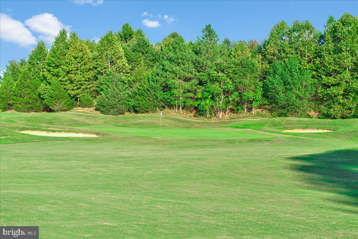 35504 Somerset Ridge Road Locust Grove, VA 22508 - Photo 43 of 56 Gallery Image 43