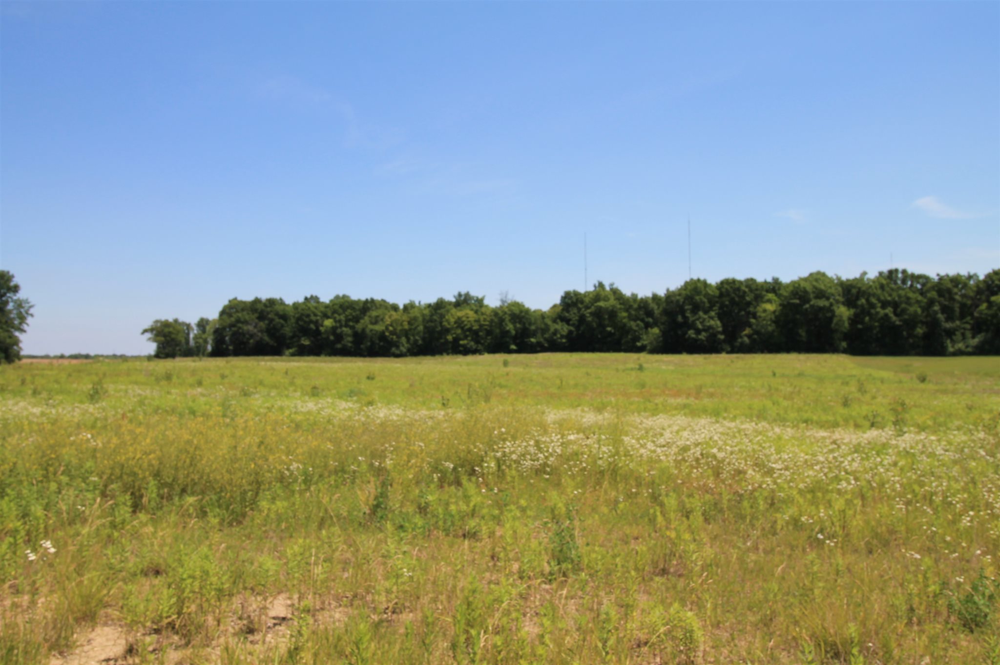 3500 Kroemer Road Fort Wayne, IN 46818 - Photo 3 of 3
