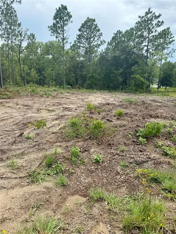 a view of outdoor space with trees