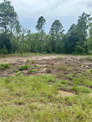 $293,000 | Tbd Northeast Tbd Ne 151st Terrace, Williston, FL 32696