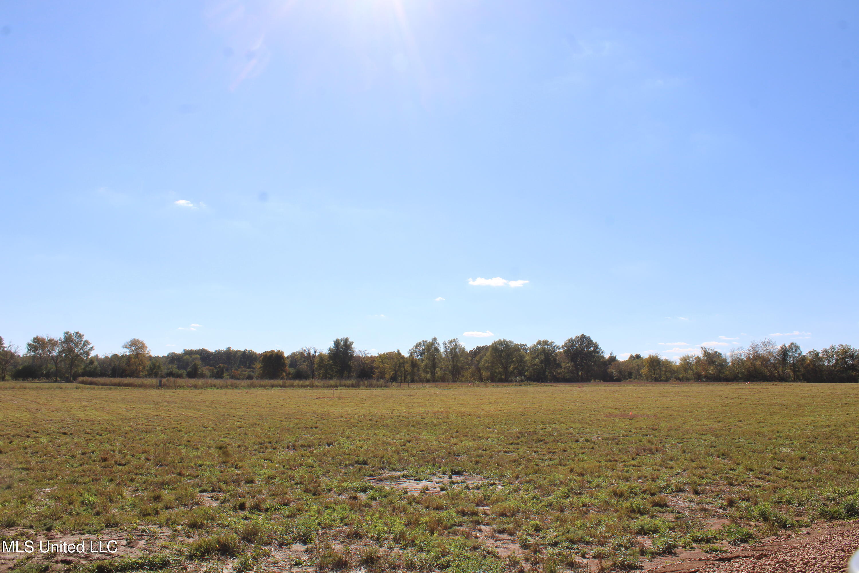 37 Pin Oak Road Michigan City, MS 38647 - Photo 8 of 22 IMG_6904