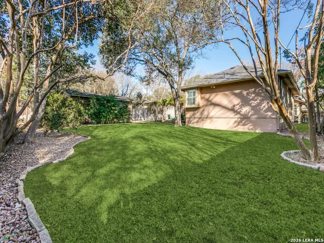 a view of a backyard with large trees