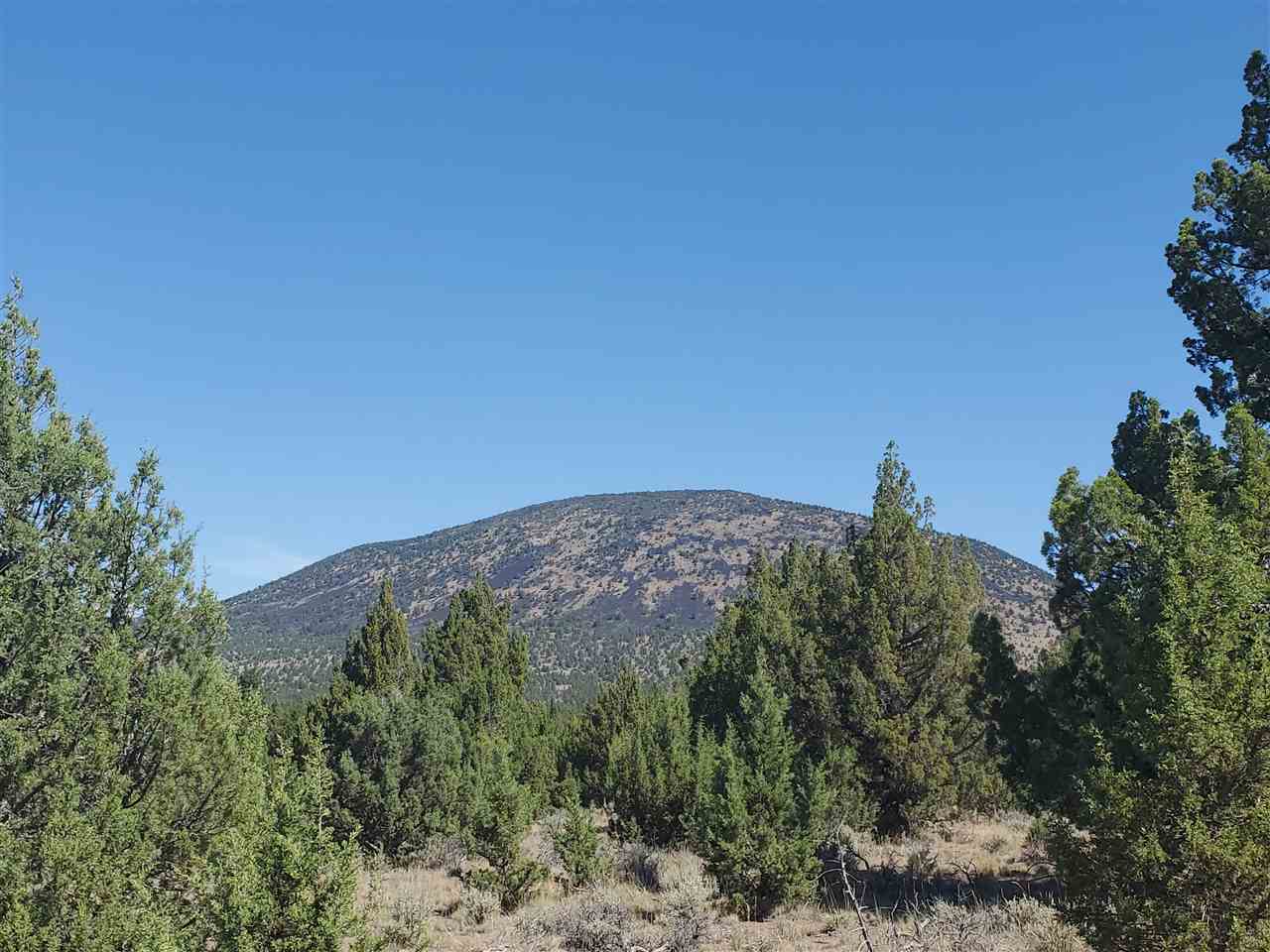 1 Unmarked Road Macdoel, CA 96058 - Photo 20 of 21 Gallery Image 20
