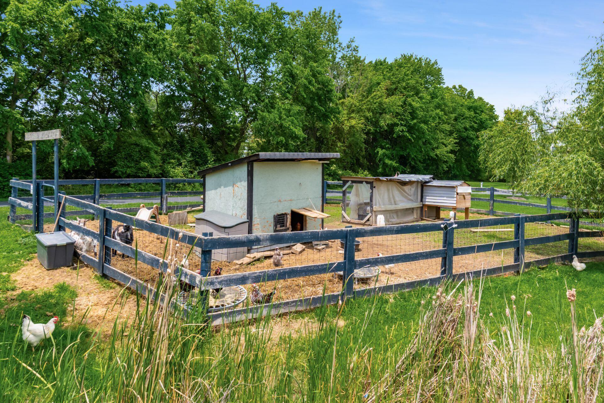 1820 Bean-Oller Road Delaware, OH 43015 - Photo 6 of 57 Goats and Chickens!