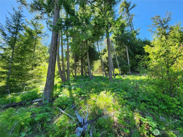 a view of outdoor space and yard