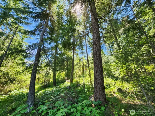 $469,500 | 1 Black Hawk Drive, Cle Elum, WA 98922