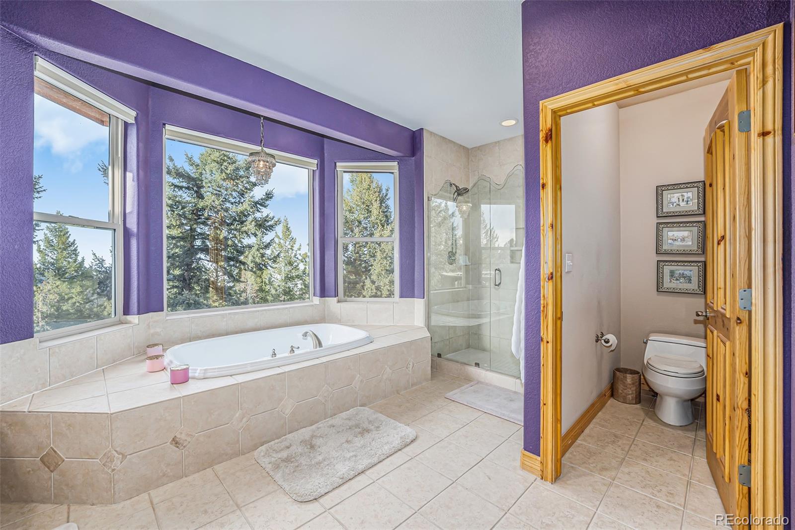 22545 Cook Lane Morrison, CO 80465 - Photo 21 of 39