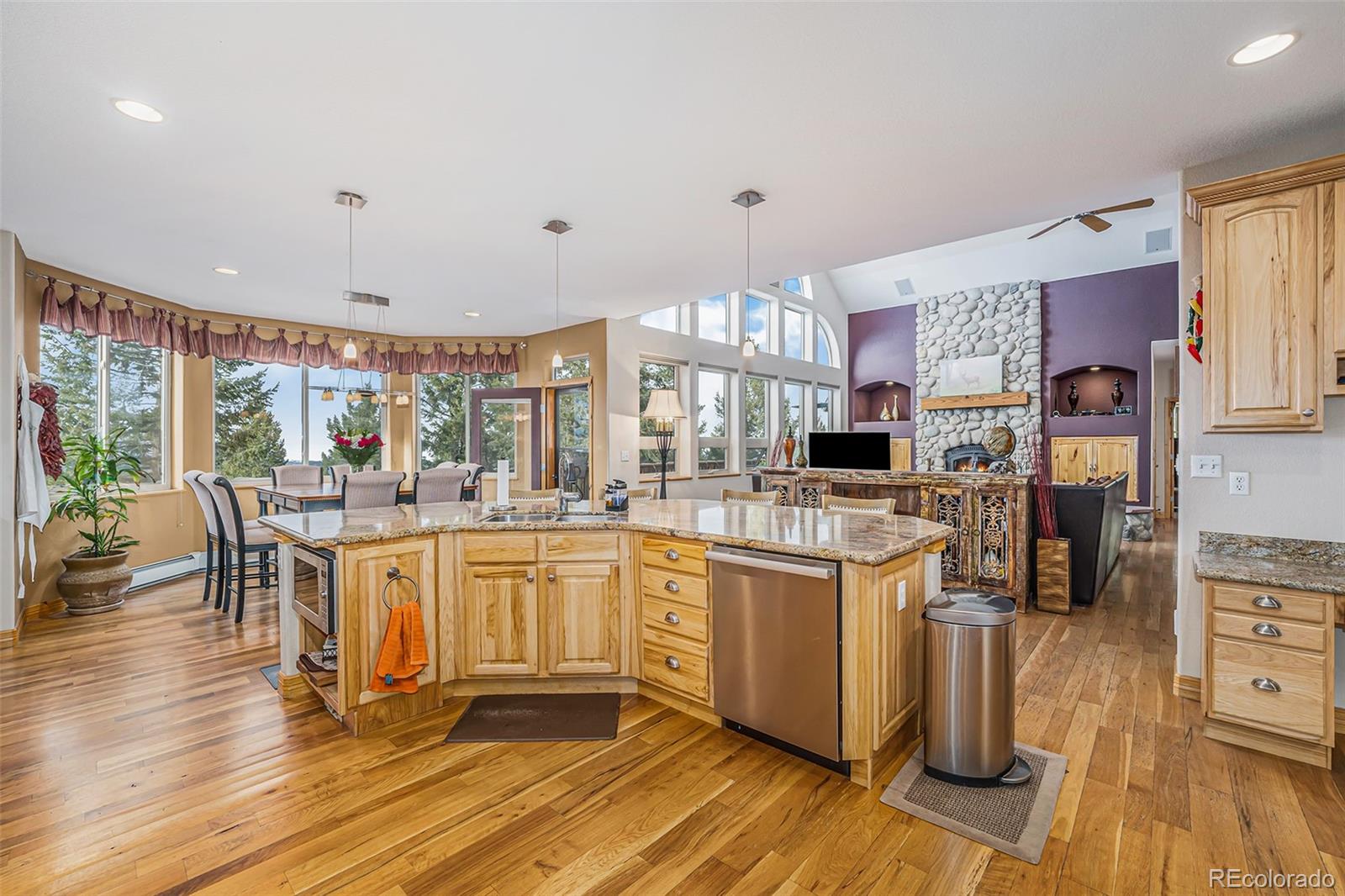 22545 Cook Lane Morrison, CO 80465 - Photo 9 of 39