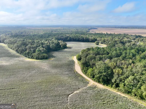 an aerial view of residential houses with outdoor space and trees