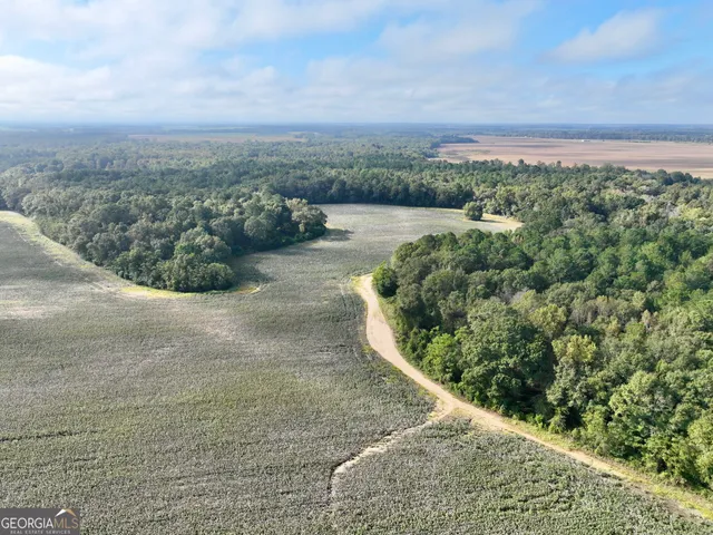 an aerial view of residential houses with outdoor space and trees