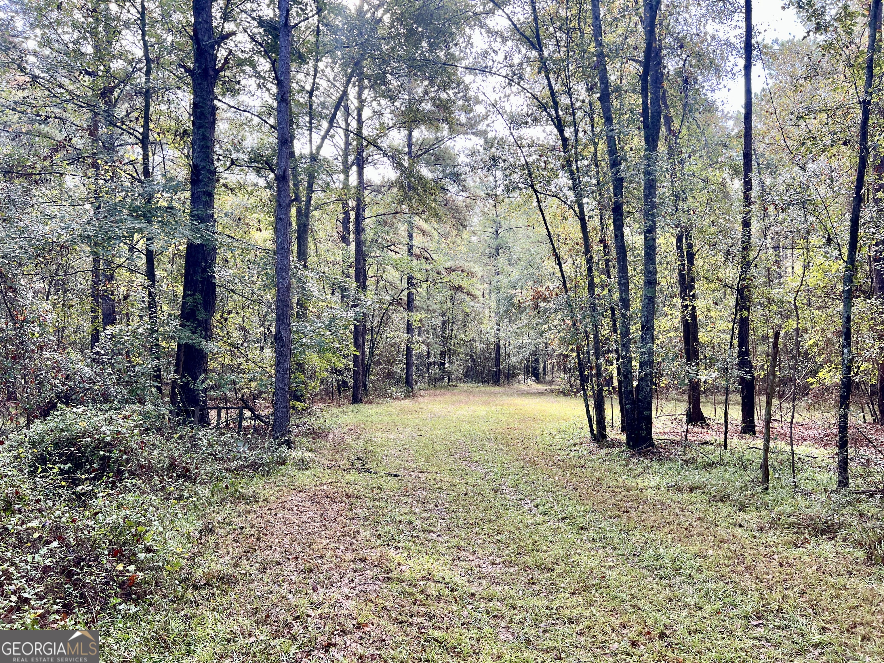136 Pope Road Pineview, GA 31071 - Photo 11 of 58 a view of outdoor space with trees