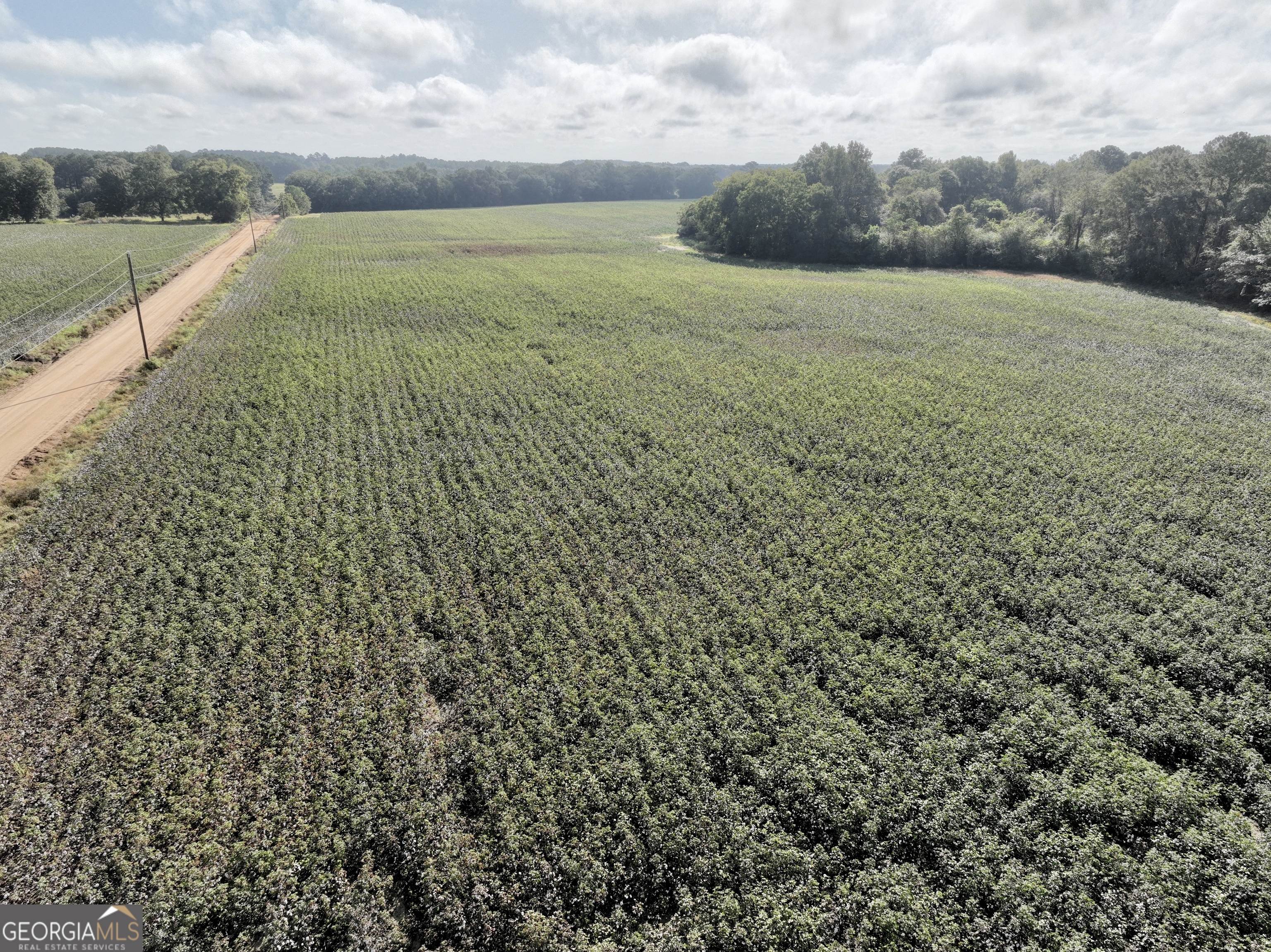 136 Pope Road Pineview, GA 31071 - Photo 12 of 58 a view of an outdoor space and a yard
