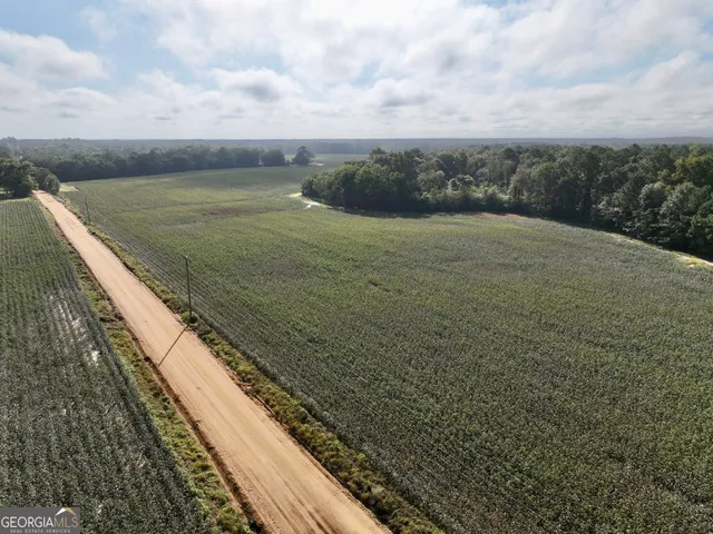 a view of a bunch of trees and bushes