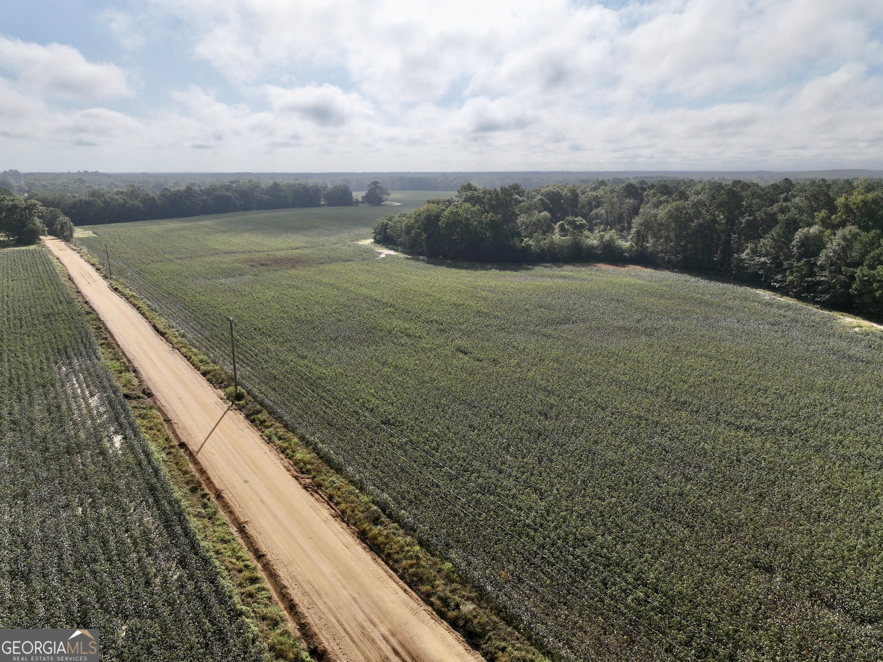 136 Pope Road Pineview, GA 31071 - Photo 13 of 58 a view of an outdoor space and a lake view