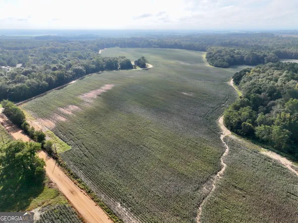 a view of a dry yard