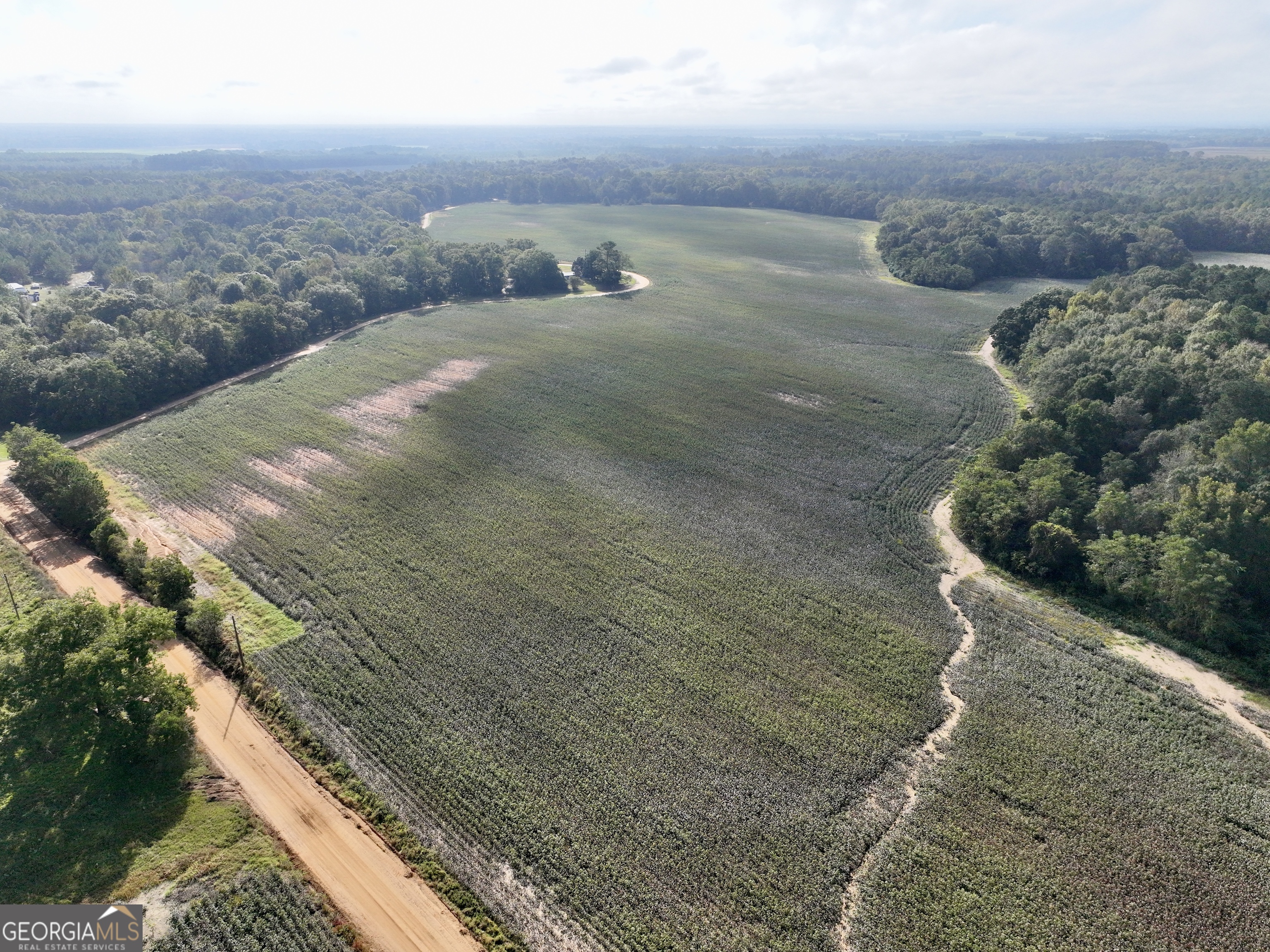 136 Pope Road Pineview, GA 31071 - Photo 14 of 58 a view of outdoor space and yard