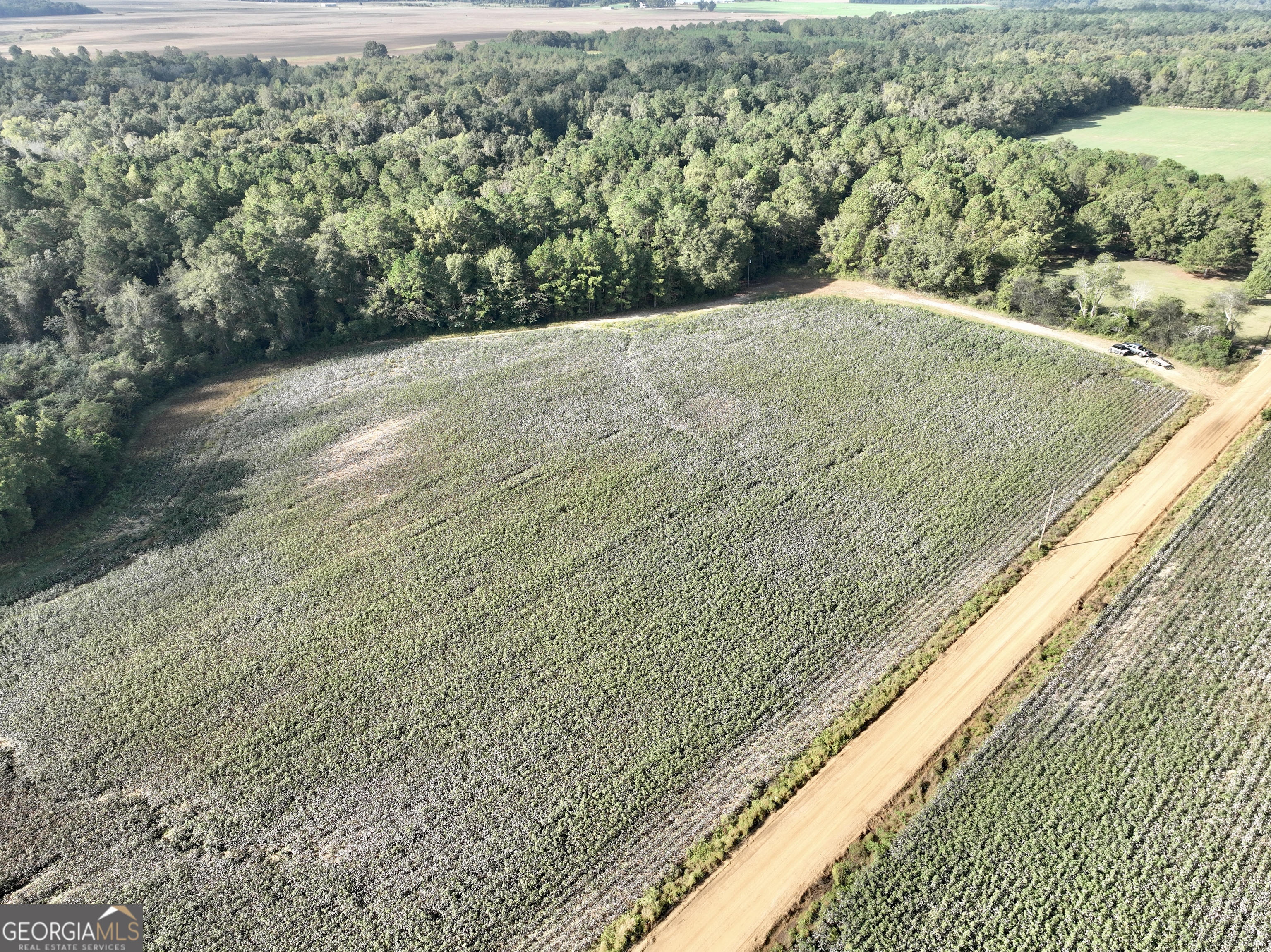 136 Pope Road Pineview, GA 31071 - Photo 15 of 58 a view of a yard